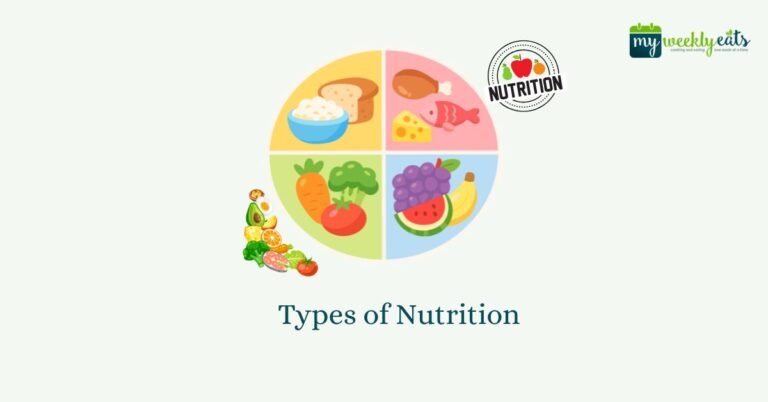 Types of Nutrition