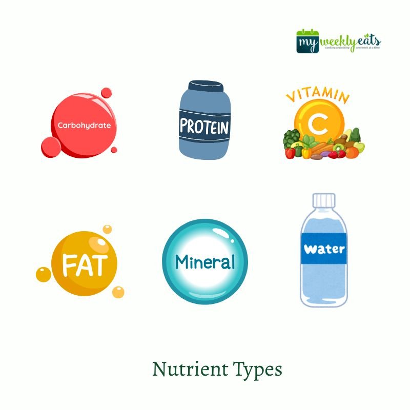 nutrient types
